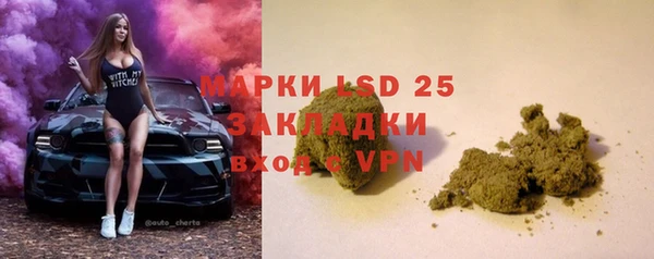 сатива Абаза