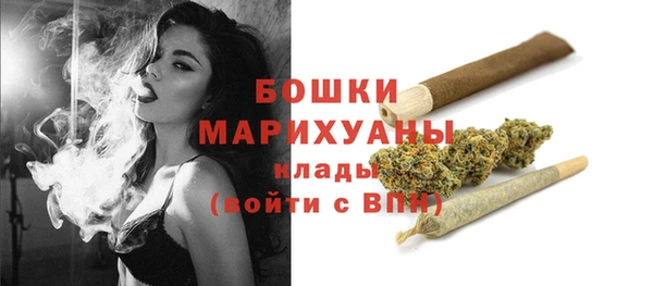 сатива Абаза