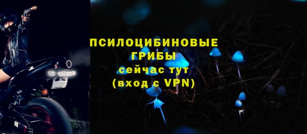 сатива Абаза