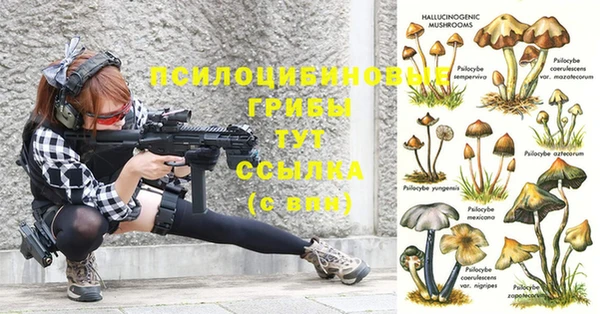 тгк Няндома