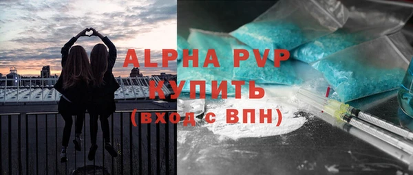 сатива Абаза