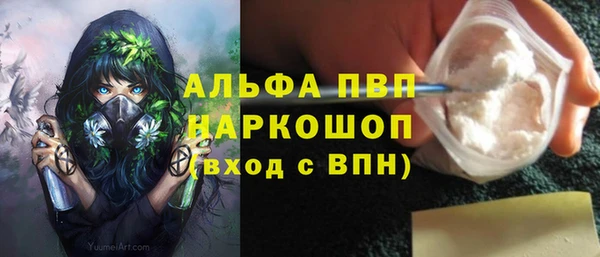 сатива Абаза