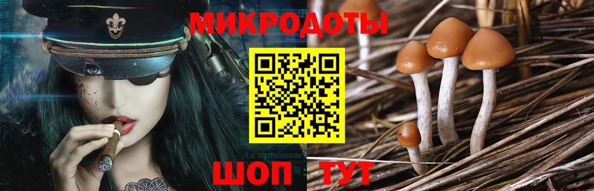 Галлюциногенные грибы ЛСД  Псилоцибиновые грибы Psilocybe  Стрежевой  Вход с VPN 