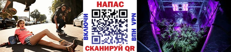 kraken ссылки Стрежевой Канабис марихуана